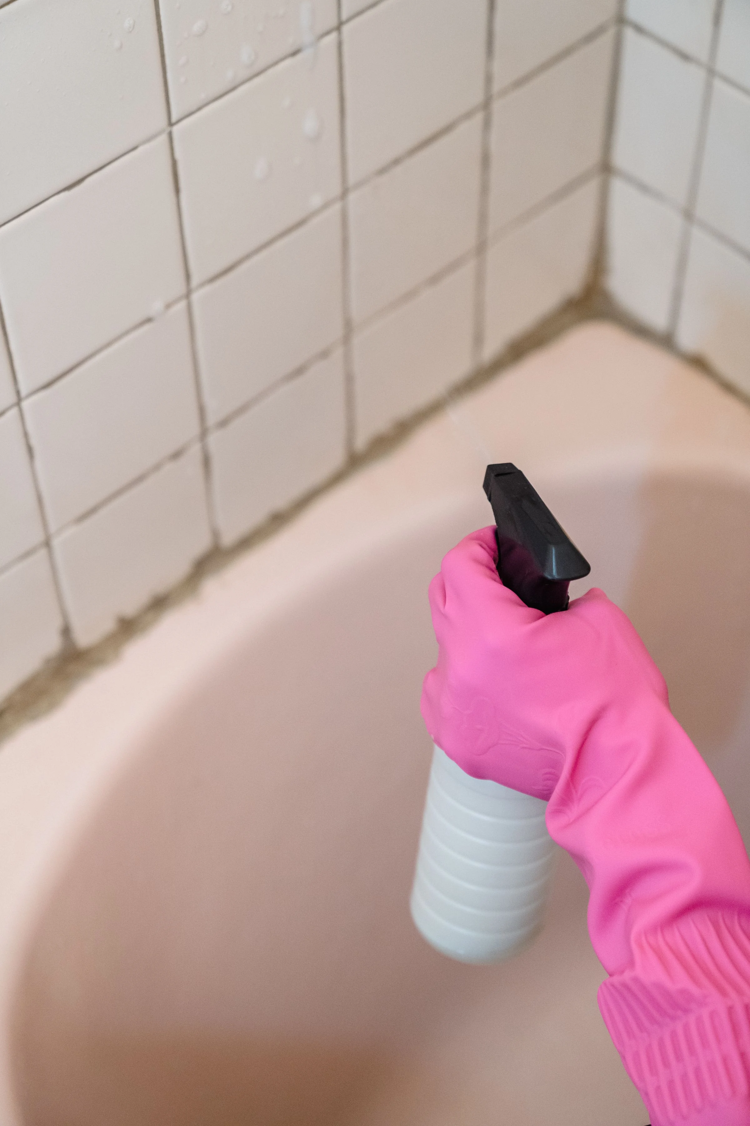 Cleaning Services